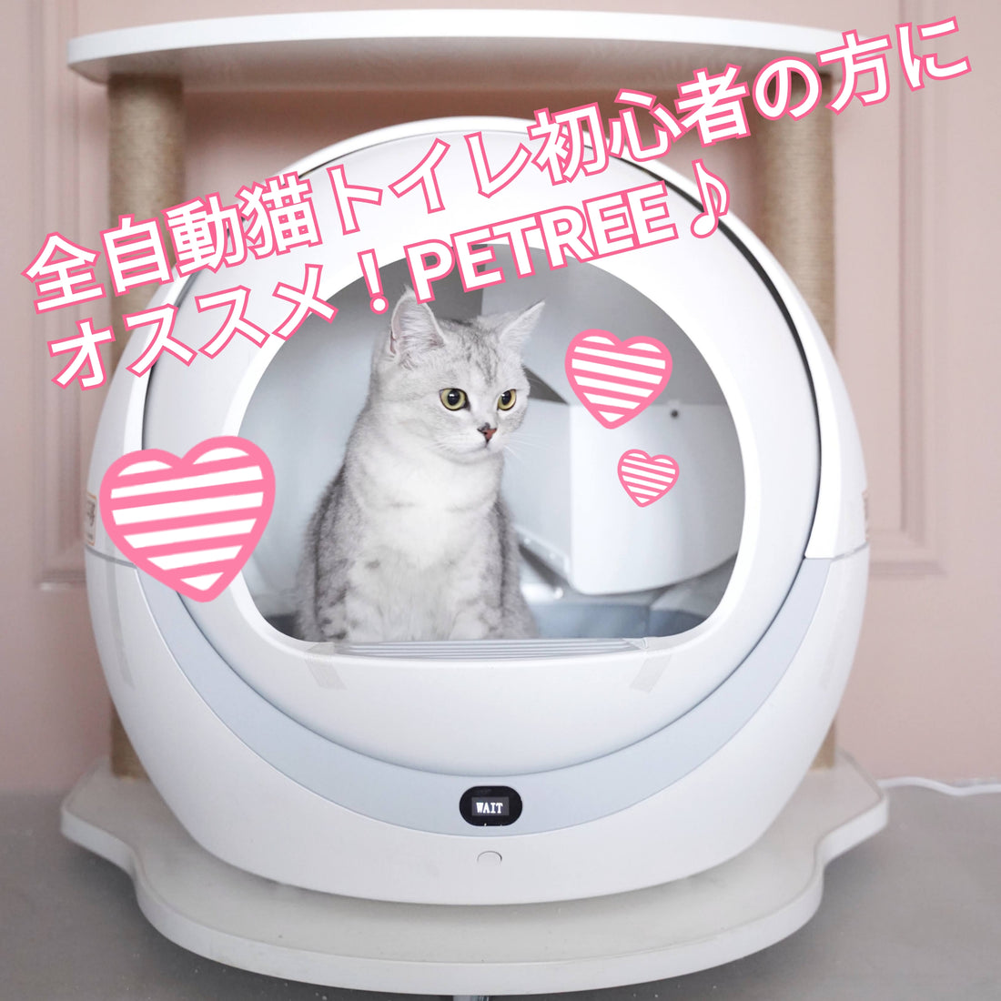 初心者にオススメな全自動猫トイレ♪