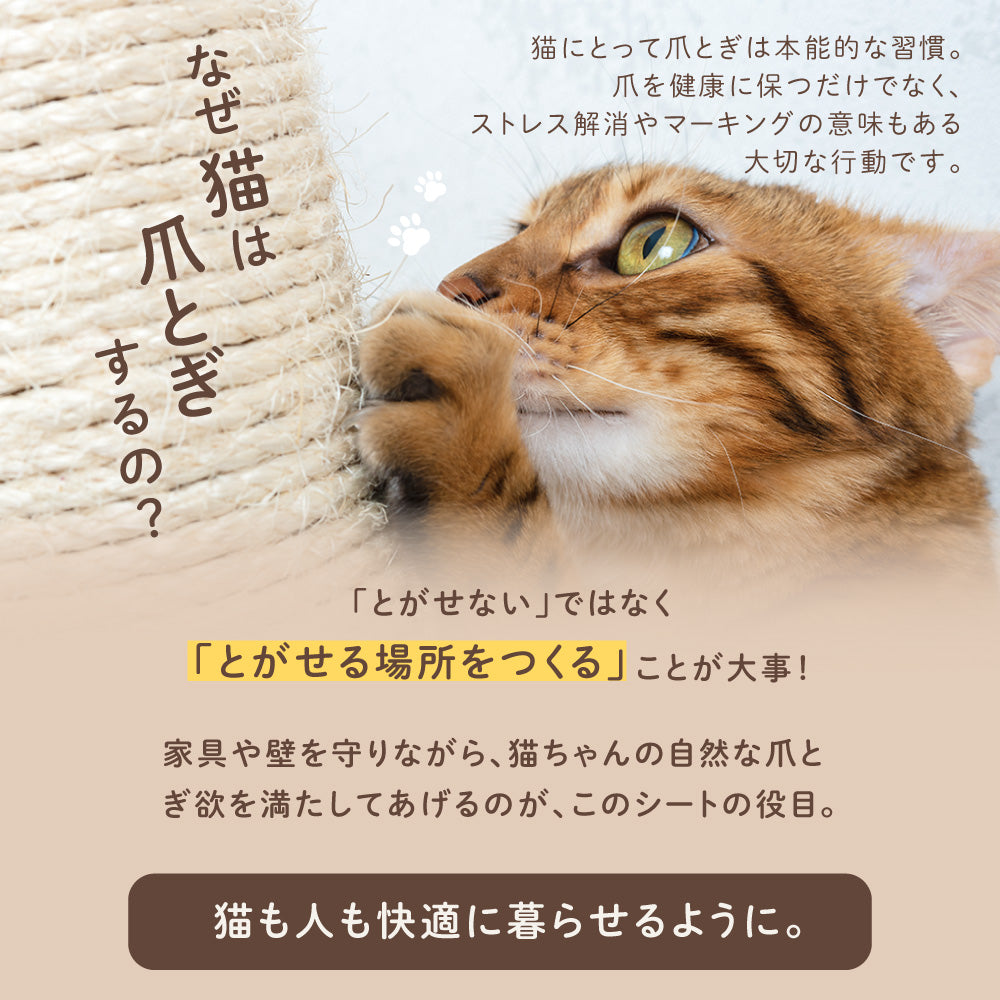 ピタッと貼れる 爪とぎシート 猫 猫用 爪とぎ 爪研ぎ ひっかき 引っ掻き 防止 シート カバー シール はがせる マット カーペット ソファ ソファー ベッド 床 畳 ドア 家具 壁 壁紙 柱 保護 傷防止 ストレス解消 貼付け 好きなサイズにカット可能 60 x 200cm