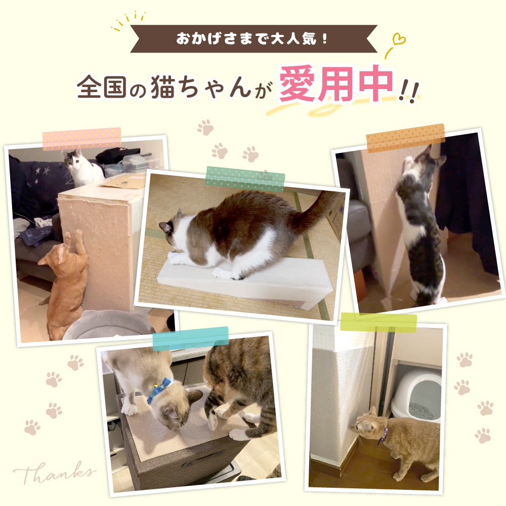 ピタッと貼れる 爪とぎシート 猫 猫用 爪とぎ 爪研ぎ ひっかき 引っ掻き 防止 シート カバー シール はがせる マット カーペット ソファ ソファー ベッド 床 畳 ドア 家具 壁 壁紙 柱 保護 傷防止 ストレス解消 貼付け 好きなサイズにカット可能 60 x 200cm