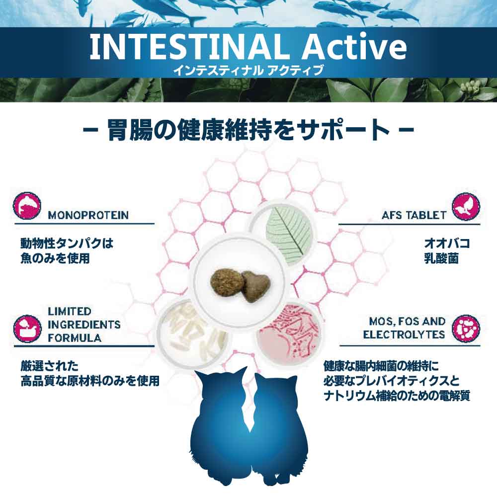 フォルツァ10 アクティブライン インテスティナルアクティブ キャット 1.5kg 猫 フード キャットフード 胃腸 消化 乳酸菌 猫用 フード ドライ 食事療法食 無添加 FORZA10