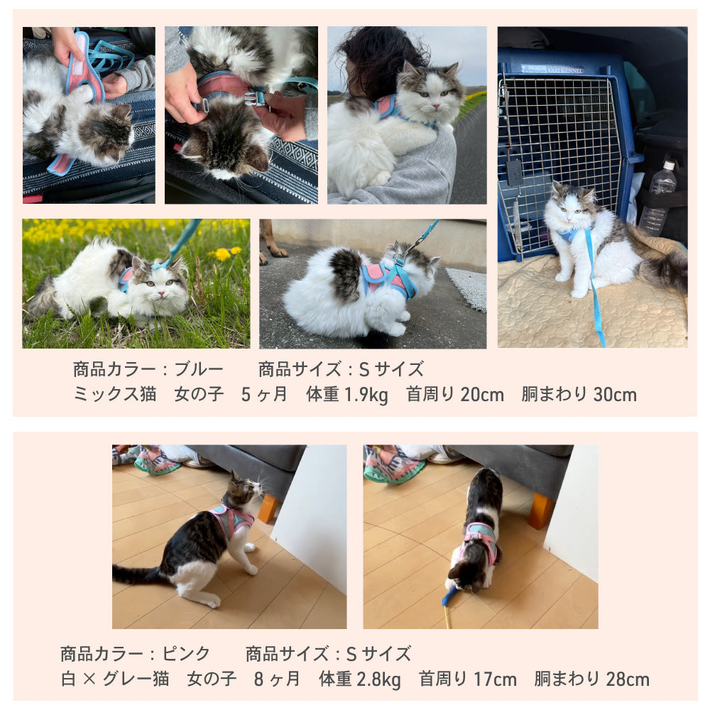 ラムール 猫 ハーネス 抜けない ダブルロック つけやすい 外れない リード付き 猫用 軽量 軽い 胴輪 散歩 お出かけ 通院 災害 避難 かわいい ウエアハーネス マジックテープ ペット サイズ交換可