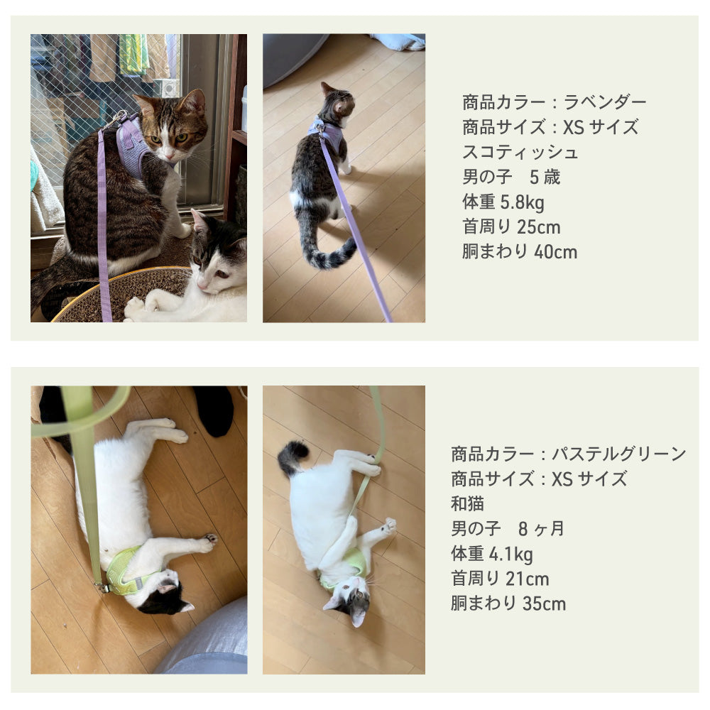 ラムール 猫 ハーネス 抜けない ダブルロック つけやすい 外れない リード 猫用 軽量 軽い 通気性 蒸れない 胴輪 散歩 お出かけ 通院 災害 避難 かわいい ウエアハーネス マジックテープ ペット サイズ交換可
