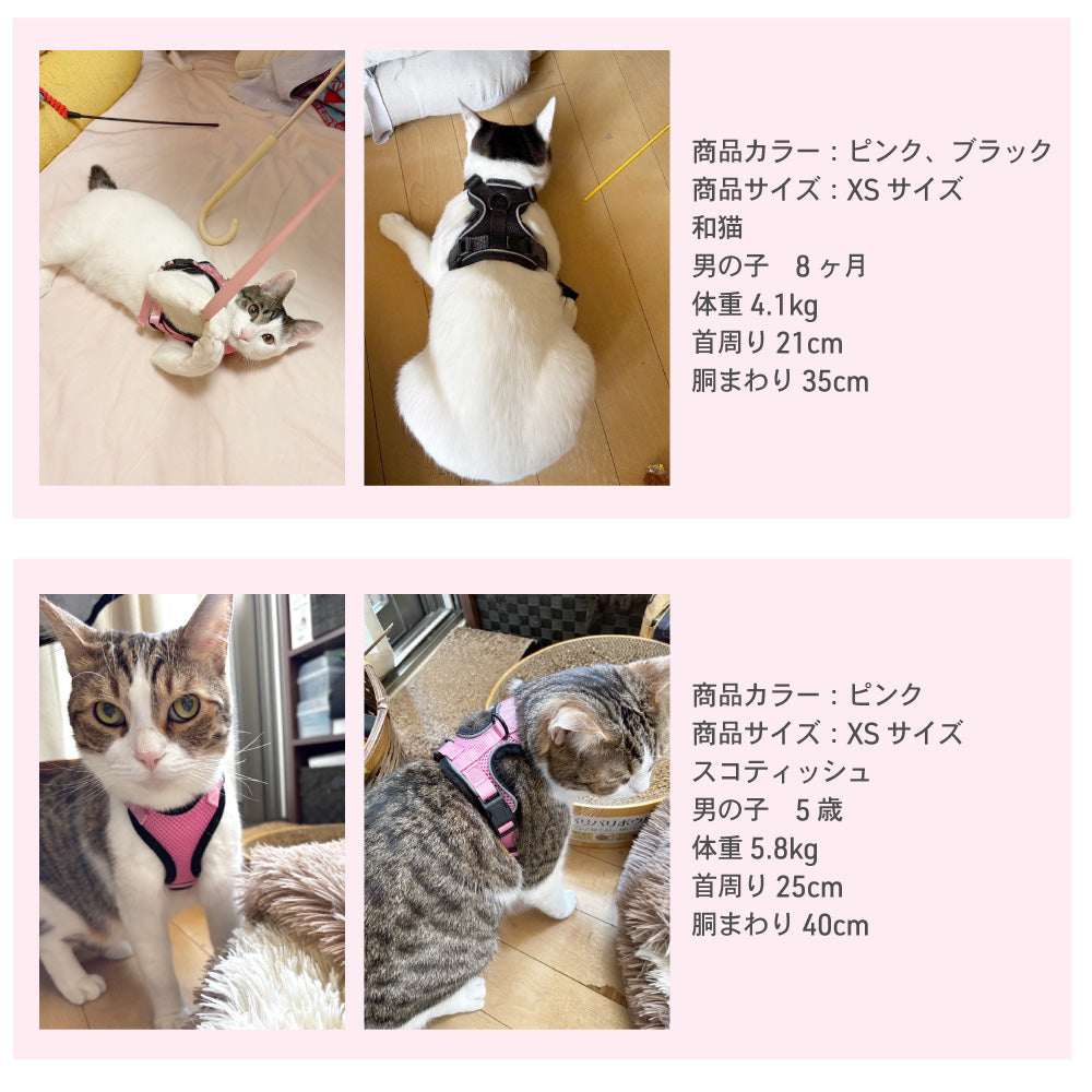 ラムール 猫 ハーネス 抜けない ダブルロック つけやすい 外れない 脱げない リード 猫用 軽量 軽い メッシュ 通気性 蒸れない 胴輪 散歩 お出かけ 通院 災害 避難 かわいい ウエアハーネス バックル ペット サイズ交換可