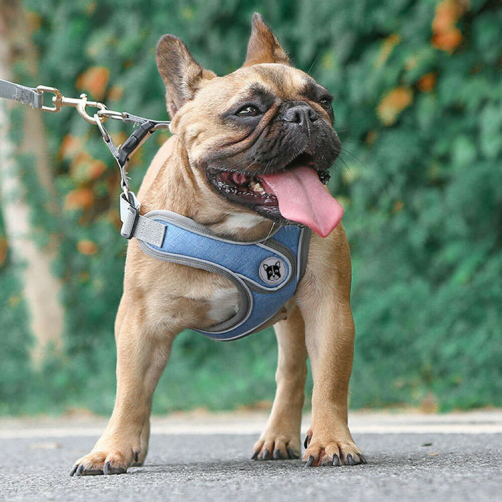 ラムール 犬 ハーネス 負担が少ない 抜けない つけやすい 外れない リード 一体型 小型犬 中型犬 大型犬 着脱簡単 メッシュ 通気性 蒸れない 胴輪 散歩 お出かけ 通院 災害 避難 かわいい おしゃれ ドッグハーネス バックル ペット サイズ交換可