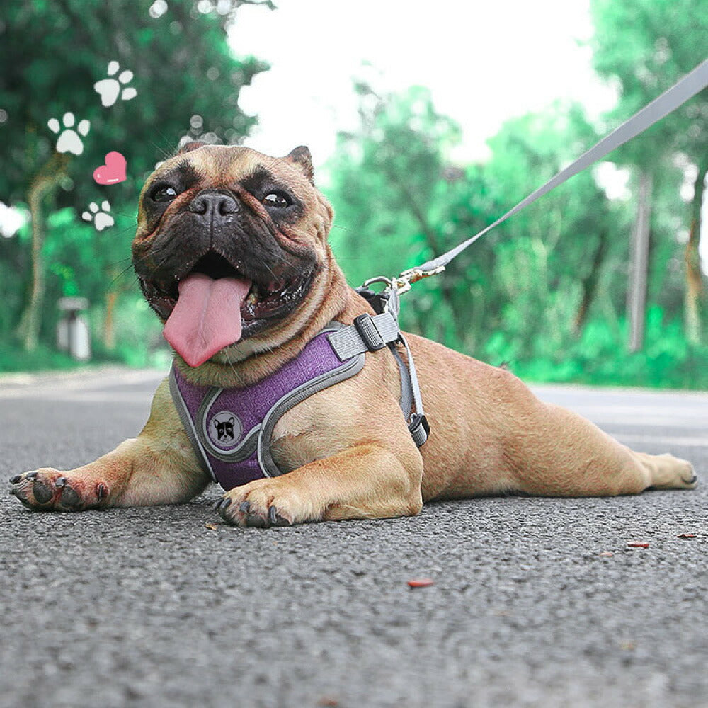 ラムール 犬 ハーネス 負担が少ない 抜けない つけやすい 外れない リード 一体型 小型犬 中型犬 大型犬 着脱簡単 メッシュ 通気性 蒸れない 胴輪 散歩 お出かけ 通院 災害 避難 かわいい おしゃれ ドッグハーネス バックル ペット サイズ交換可