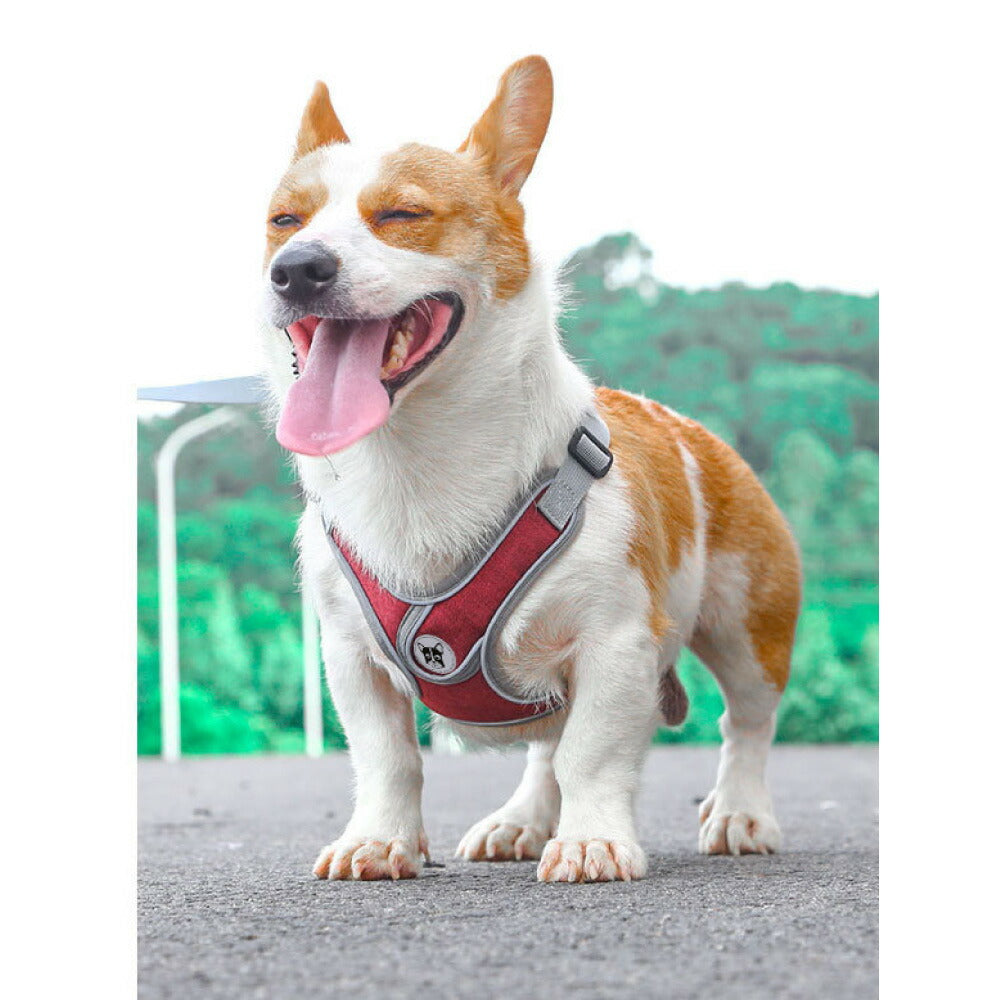 ラムール 犬 ハーネス 負担が少ない 抜けない つけやすい 外れない リード 一体型 小型犬 中型犬 大型犬 着脱簡単 メッシュ 通気性 蒸れない 胴輪 散歩 お出かけ 通院 災害 避難 かわいい おしゃれ ドッグハーネス バックル ペット サイズ交換可