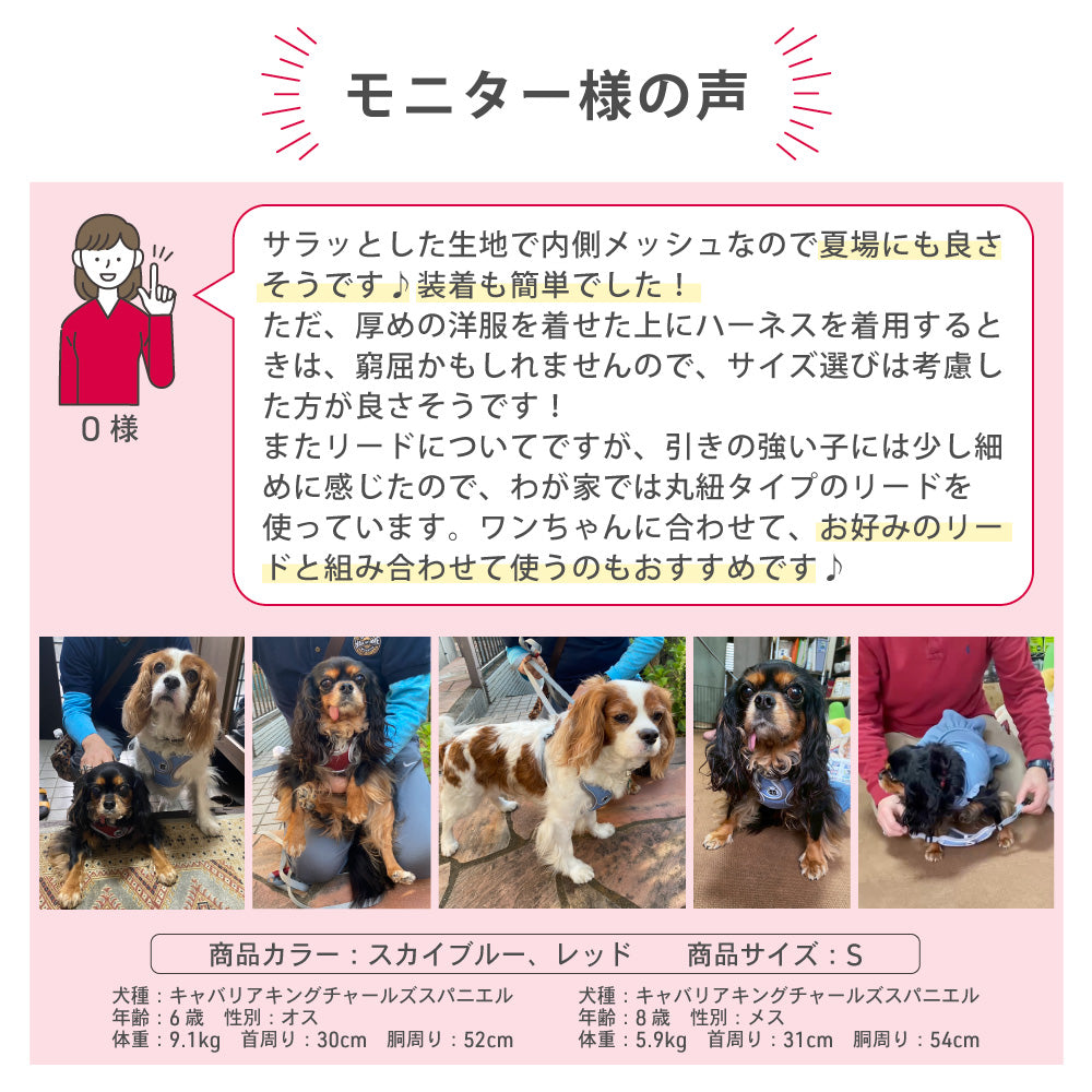 ラムール 犬 ハーネス 負担が少ない 抜けない つけやすい 外れない リード 一体型 小型犬 中型犬 大型犬 着脱簡単 メッシュ 通気性 蒸れない 胴輪 散歩 お出かけ 通院 災害 避難 かわいい おしゃれ ドッグハーネス バックル ペット サイズ交換可