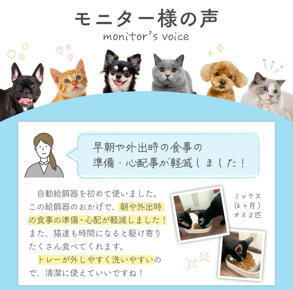 ごはんもりもり君 猫 犬 自動給餌器 スマホ操作不要 タイマー ペット 兎 自動餌やり機 給餌器 給餌機 餌 エサ えさ 自動 4.5L 大容量 留守番 洗える 密閉 ねこ いぬ うさぎ わが家のアイドル