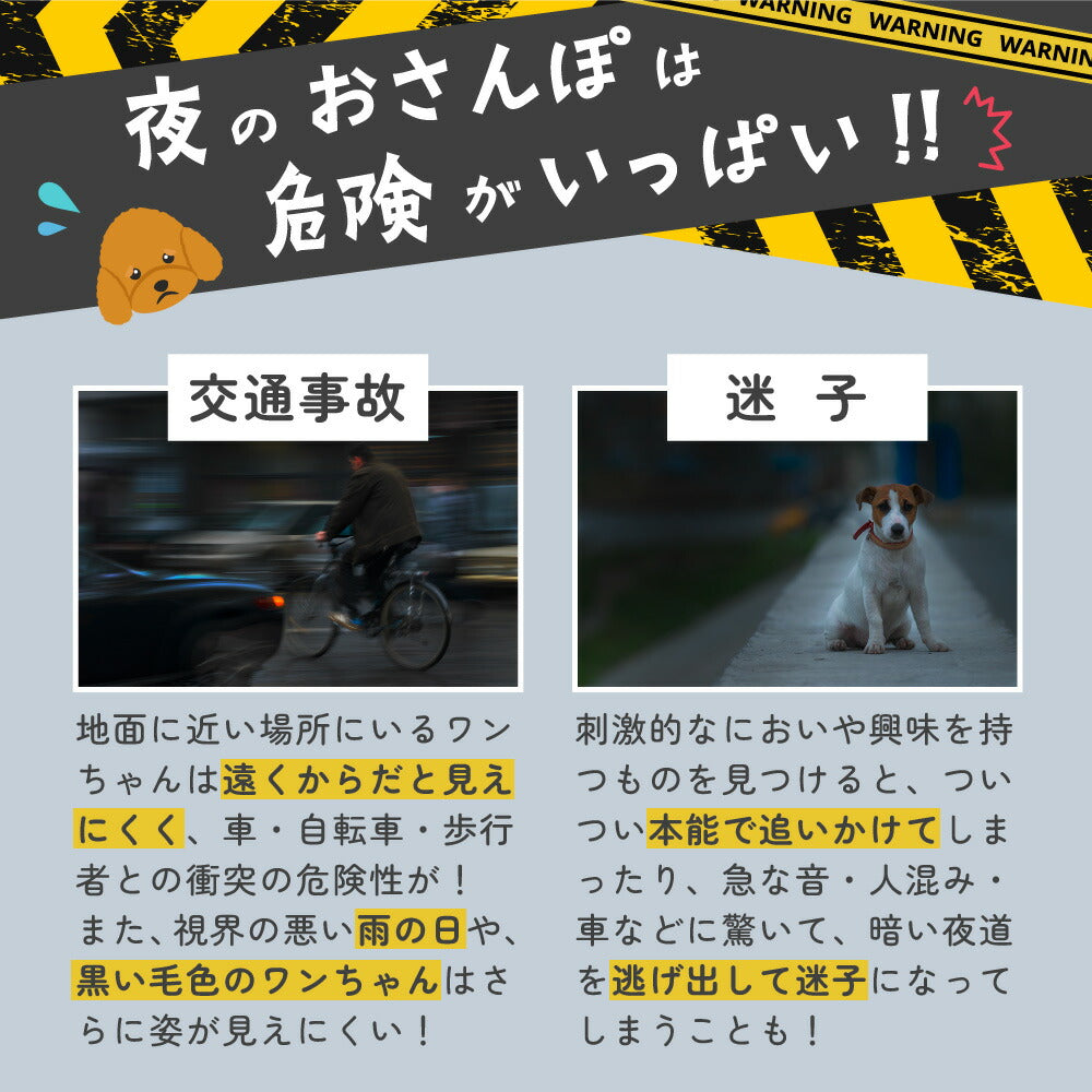 光る レインボー首輪 ペット 犬 猫 首輪 カラー 光る 虹色 6色 LED ライト サイズ調整可能 USB充電 夜間 散歩 安全 防犯 小型犬 中型犬 大型犬 わが家のアイドル