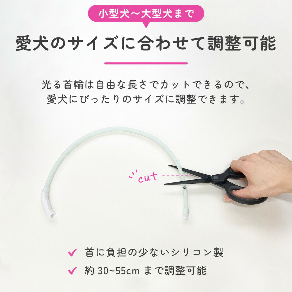 光る レインボー首輪 ペット 犬 猫 首輪 カラー 光る 虹色 6色 LED ライト サイズ調整可能 USB充電 夜間 散歩 安全 防犯 小型犬 中型犬 大型犬 わが家のアイドル