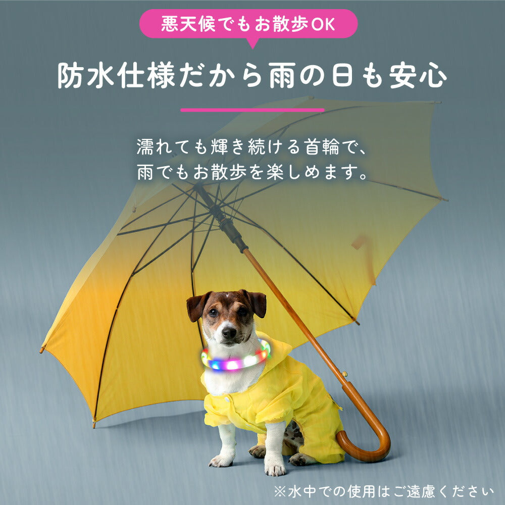 光る レインボー首輪 ペット 犬 猫 首輪 カラー 光る 虹色 6色 LED ライト サイズ調整可能 USB充電 夜間 散歩 安全 防犯 小型犬 中型犬 大型犬 わが家のアイドル