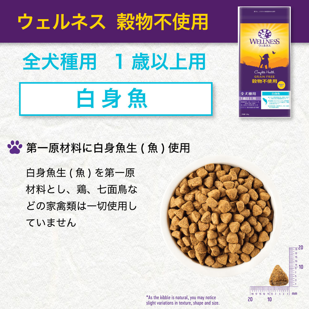 ウェルネス 穀物不使用 全犬種用 1歳以上用 白身魚 1.8kg 犬 ドッグフード 犬用フード グレインフリー アダルト 成犬用 着色料不使用 香料不使用