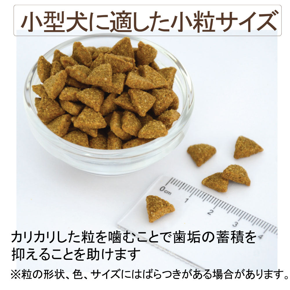 ウェルネス コア ダイジェスティブヘルス 小型犬 成犬用 チキン&玄米 800g 犬 ドッグフード 犬用 総合栄養食 高消化性 1歳以上 WELLNESS