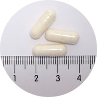 ジェントル ダイジェスト 犬 猫 サプリ カプセル 整腸 犬用 猫用 サプリメント 乳酸菌 オリゴ糖 ペット アーク ナチュラルズ