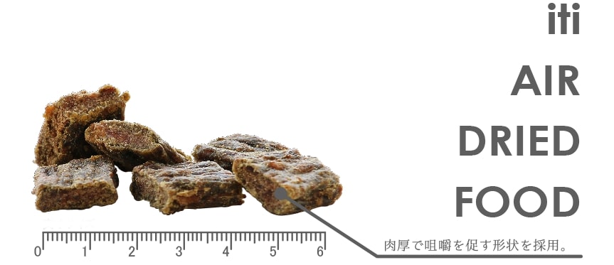 イティ キャット チキン&サーモン ディナー 1kg グレインフリー キャットフード 猫用フード エアドライ製法 高たんぱく ドライフード iti