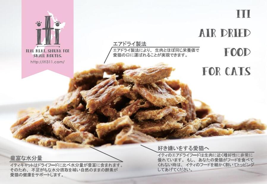 イティ キャット チキン&サーモン ディナー 200g グレインフリー キャットフード 猫用フード エアドライ製法 高たんぱく ドライフード iti