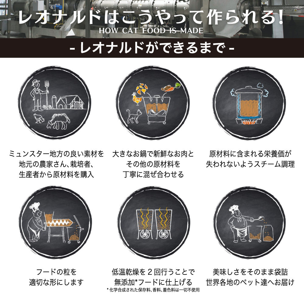 レオナルド アダルト ラム 2kg 猫 フード キャットフード ドライ 猫用フード 成猫用 無添加 無着色 カリカリ LEONARDO