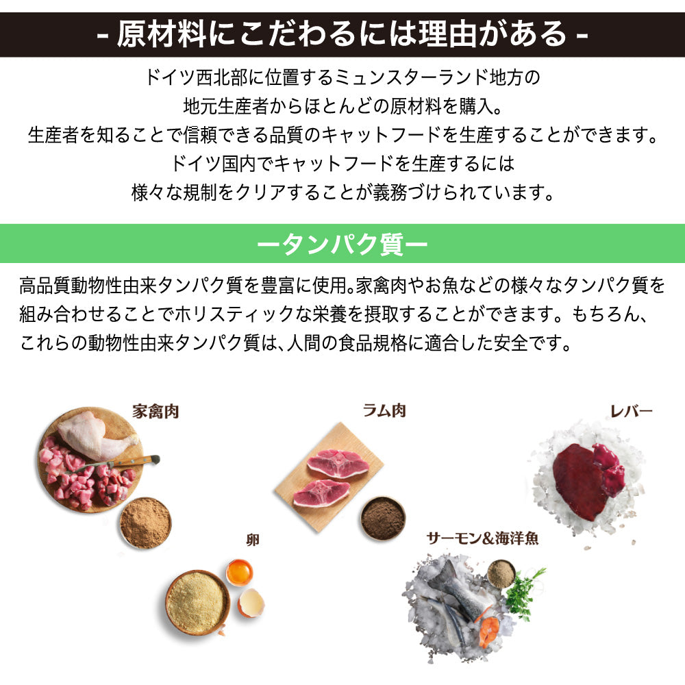 レオナルド アダルト ラム 2kg 猫 フード キャットフード ドライ 猫用フード 成猫用 無添加 無着色 カリカリ LEONARDO
