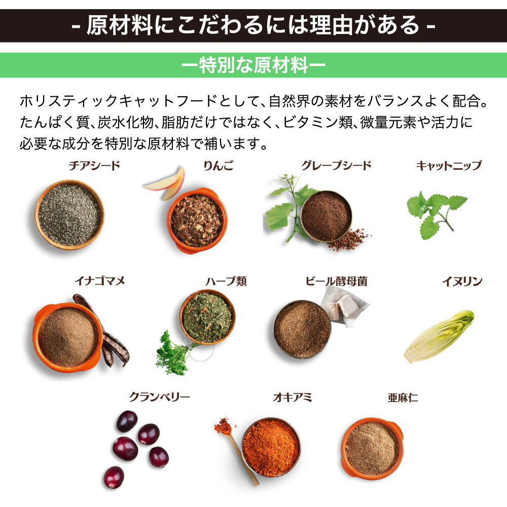 レオナルド アダルト ラム 2kg 猫 フード キャットフード ドライ 猫用フード 成猫用 無添加 無着色 カリカリ LEONARDO