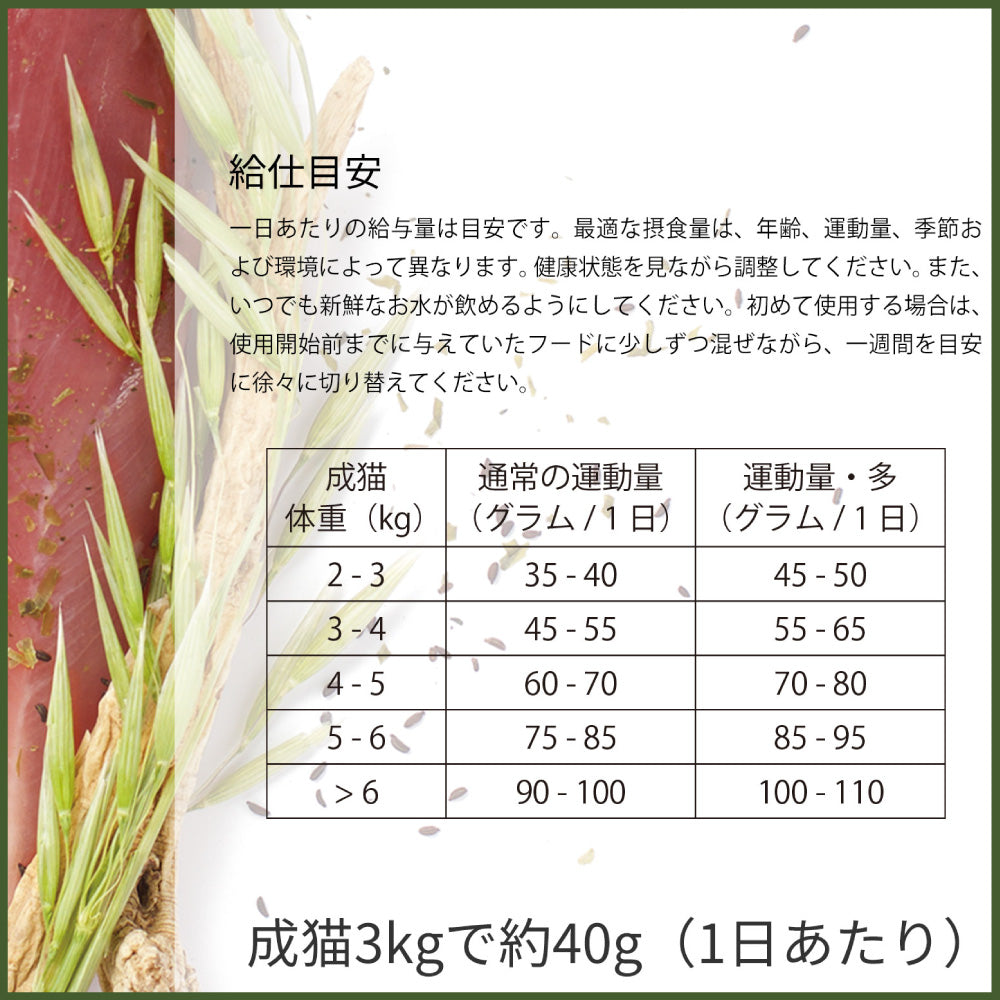 ビゴー&セージ オートグラス ヘアボールコントロール 成猫用 400g 猫 フード キャットフード 猫用フード ドライフード アダルト グレインフリー VIGOR&SAGE