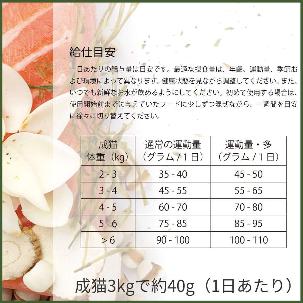 ビゴー&セージ リリールート ビューティー 成猫用 400g 猫 フード キャットフード 猫用フード ドライフード アダルト ハーブ グレインフリー VIGOR&SAGE