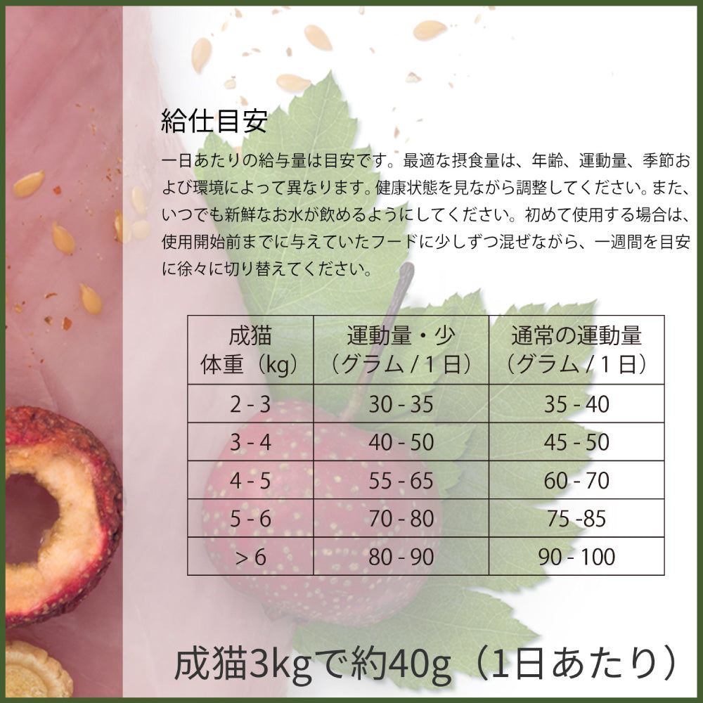 ビゴー&セージ アストラガルス ウェルビーイング シニア猫用 400g 猫 フード キャットフード 猫用フード ドライフード シニア ハーブ グレインフリー VIGOR&SAGE