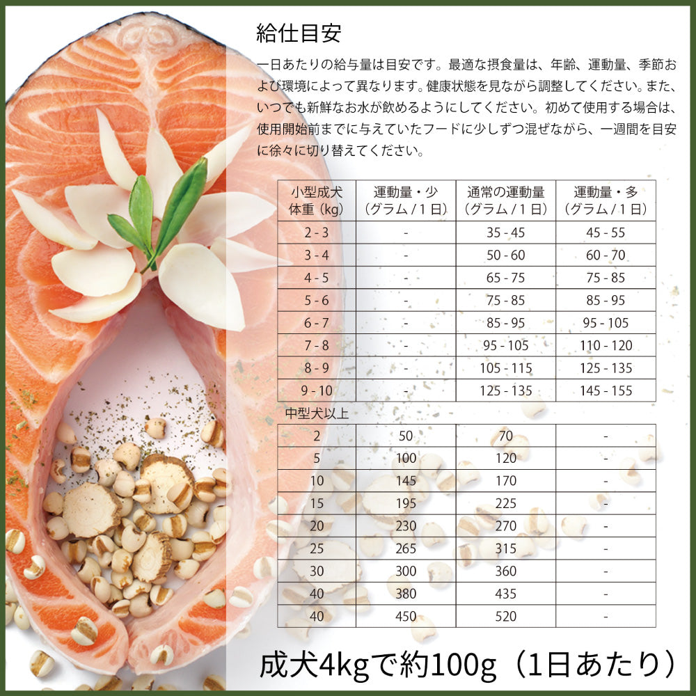ビゴー&セージ リリールート ビューティー 成犬用 2kg 犬 フード ドッグフード 犬用フード ドライフード アダルト 小粒 ハーブ グレインフリー VIGOR&SAGE