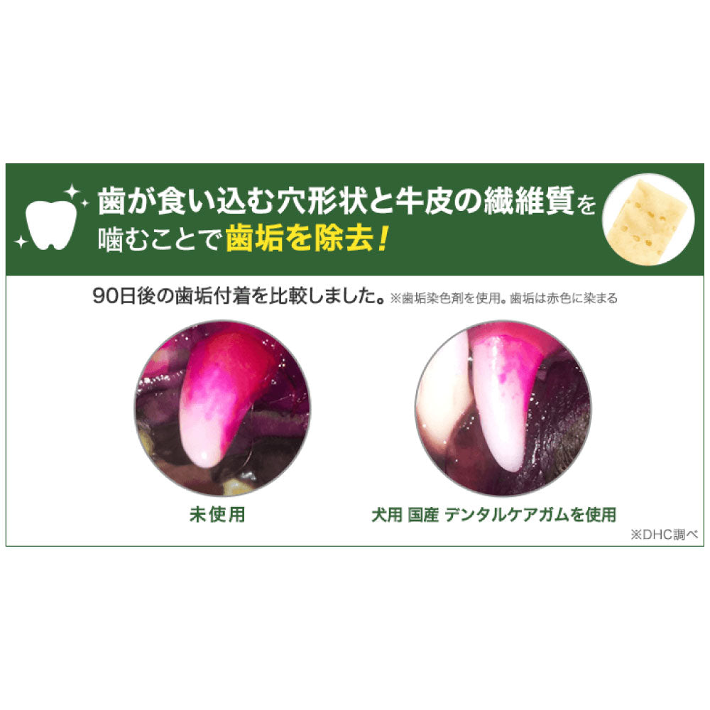 DHC デンタルケアガム 10本入 犬 おやつ デンタルケア ガム 口腔ケア 歯垢除去 口臭ケア オーラルケア 国産 犬用 オヤツ 国産 ディーエイチシー