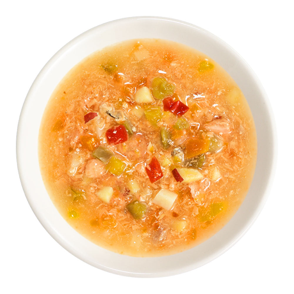 DHC 主食にプラスWAN ウェットタイプ 鮭と6つの野菜 60g 犬 ドッグフード ウェットフード パウチ おかず トッピング 犬用 ウェット 国産 ディーエイチシー