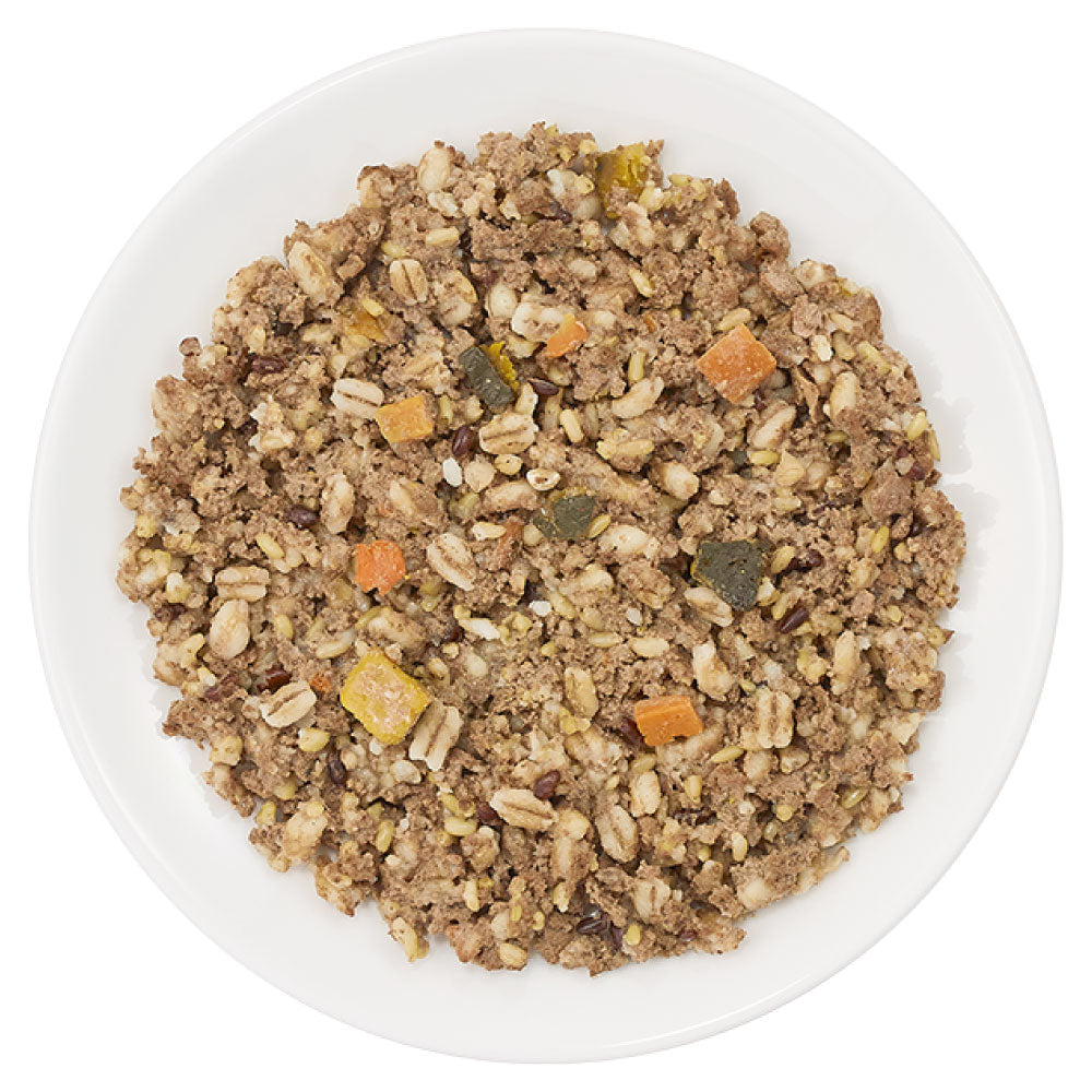 DHC 国産生肉使用の贅沢ごはん ウェットタイプ チキン 100g 犬 ドッグフード ウェットフード パウチ 総合栄養食 国産 無添加 無着色 ディーエイチシー