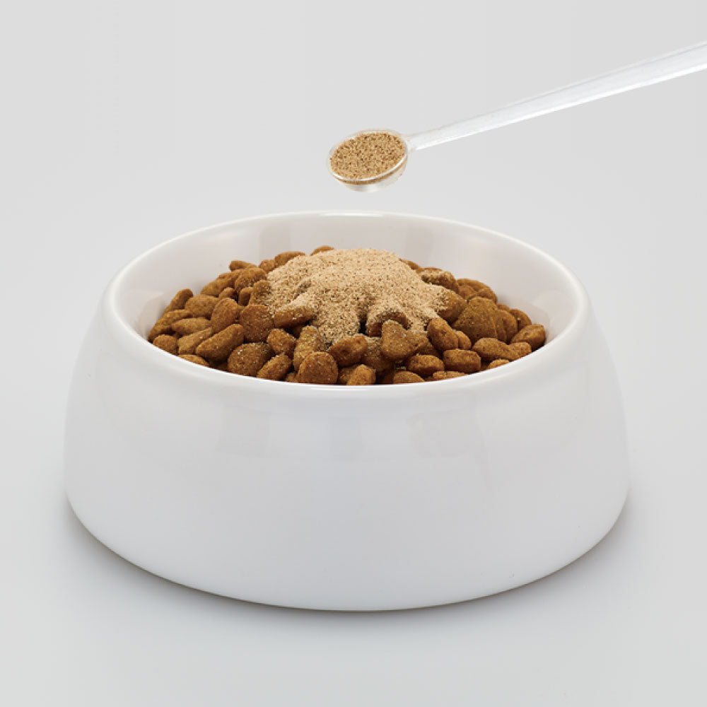 DHC 猫用 オーラルケア 50g 猫 サプリメント 健康食品 粉末 口腔ケア 口内環境 猫用 サプリ ペット ペット用 サプリ 国産 ディーエイチシー