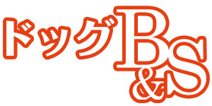 トーラス ドッグ B&S お徳用 1g×60包 犬 粉末 サプリメント 犬用 整腸 サプリ プレミアム ビフィズス菌 便秘 下痢 腸内環境 対策 ペット 国産