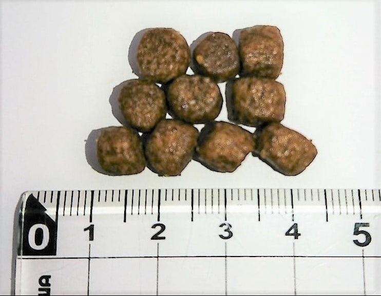 Wish ウィッシュ ターキー5.4kg お腹の健康維持 1歳から グレインフリー ドッグフード 犬用フード おすすめ 成犬用 アダルト ドライフード 穀物フリー 小分け