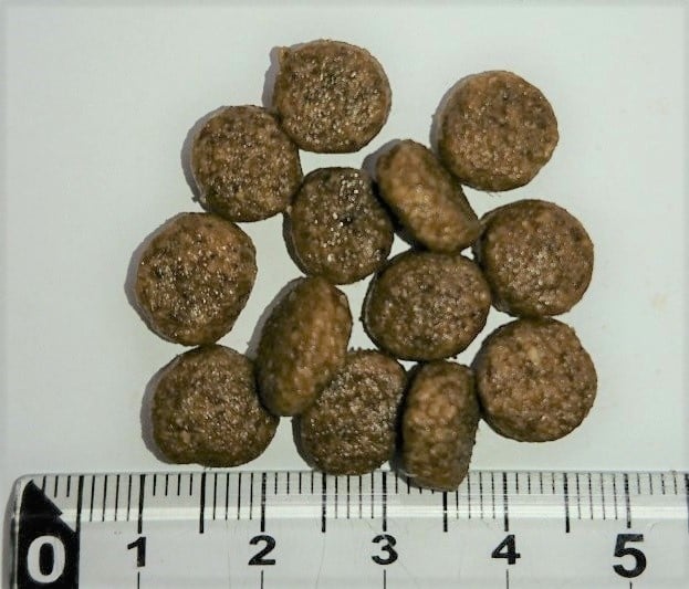 ウィッシュ ソリューション HAS-II 1.8kg Wish グレインフリー 犬 ドッグフード 犬用フード おすすめ 関節 成犬用 アダルト ドライフード 穀物フリー 小分け