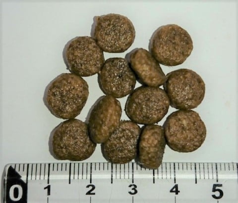 ウィッシュ ソリューション HAS-II 720g Wish グレインフリー 犬 ドッグフード 犬用フード おすすめ 関節 成犬用 アダルト ドライフード 穀物フリー 小分け