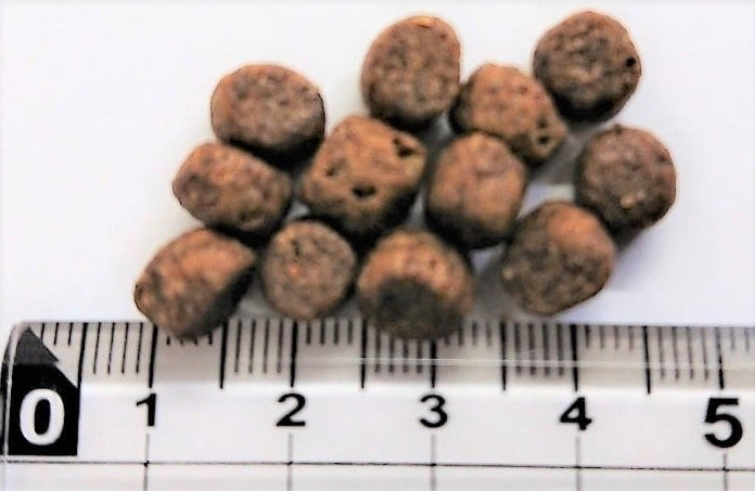 Wish ウィッシュ ワイルドパピー 1.8kg 子犬 妊娠・授乳犬 成犬 グレインフリー ドッグフード 犬用フード おすすめ 子犬用 成犬用 パピー アダルト ドライ