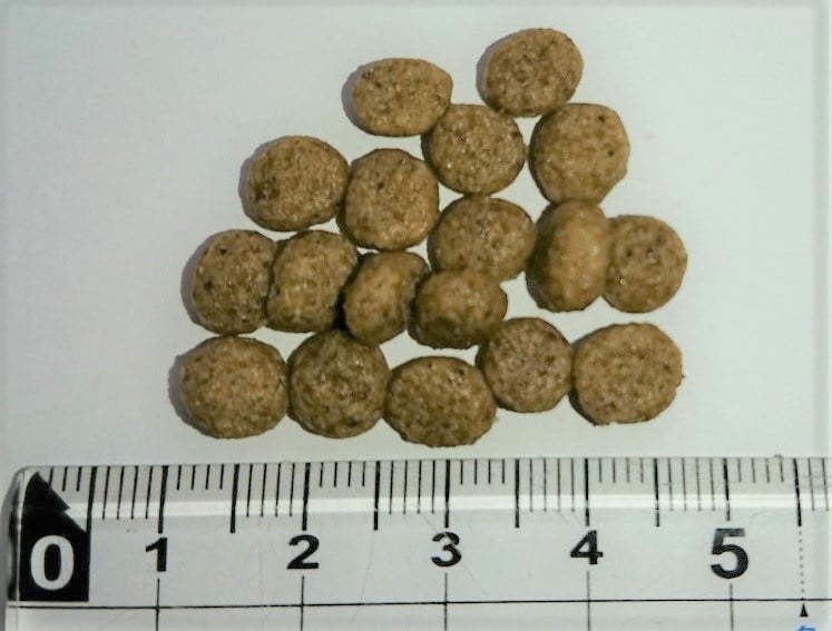 ウィッシュ ソリューション ヴィーガン 1.8kg Wish ドッグフード 犬用フード おすすめ 植物性原材料 野菜 アレルギー 成犬用 アダルト ドライフード 小分け