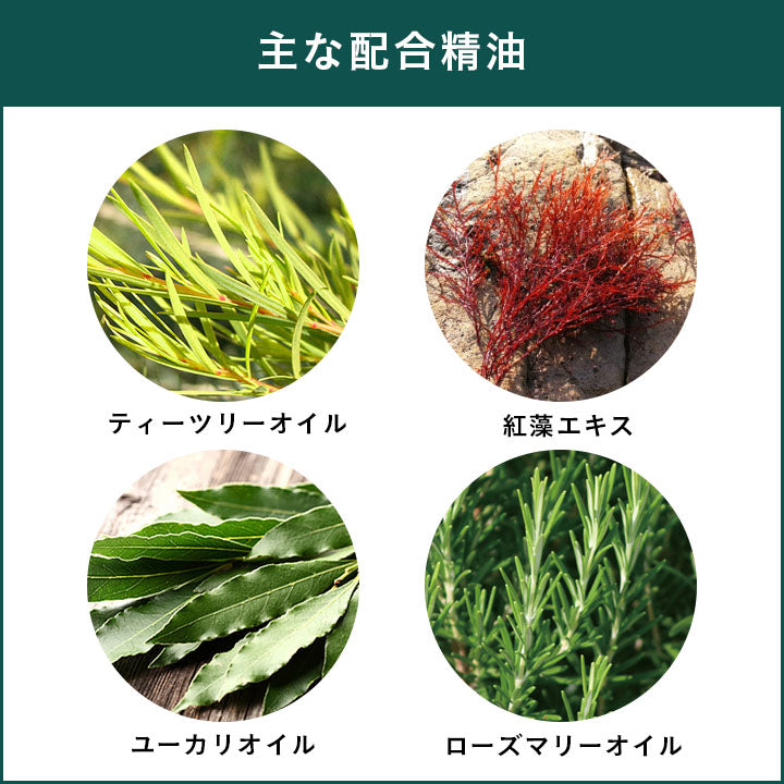 APDC ティーツリーシャンプー 250ml 犬 シャンプー ふわツヤ感アップ 犬用 お手入れ ケア 天然成分 オーガニック ハーブ