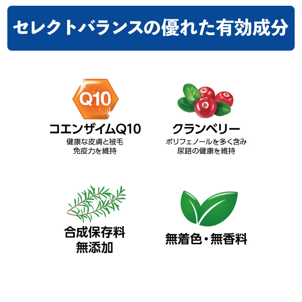 セレクトバランス パピー 子犬・母犬用 チキン 小粒 1kg 犬 ドッグフード 犬用 フード ドライ 子犬用 妊娠 授乳 ミルクプロテイン 発育サポート