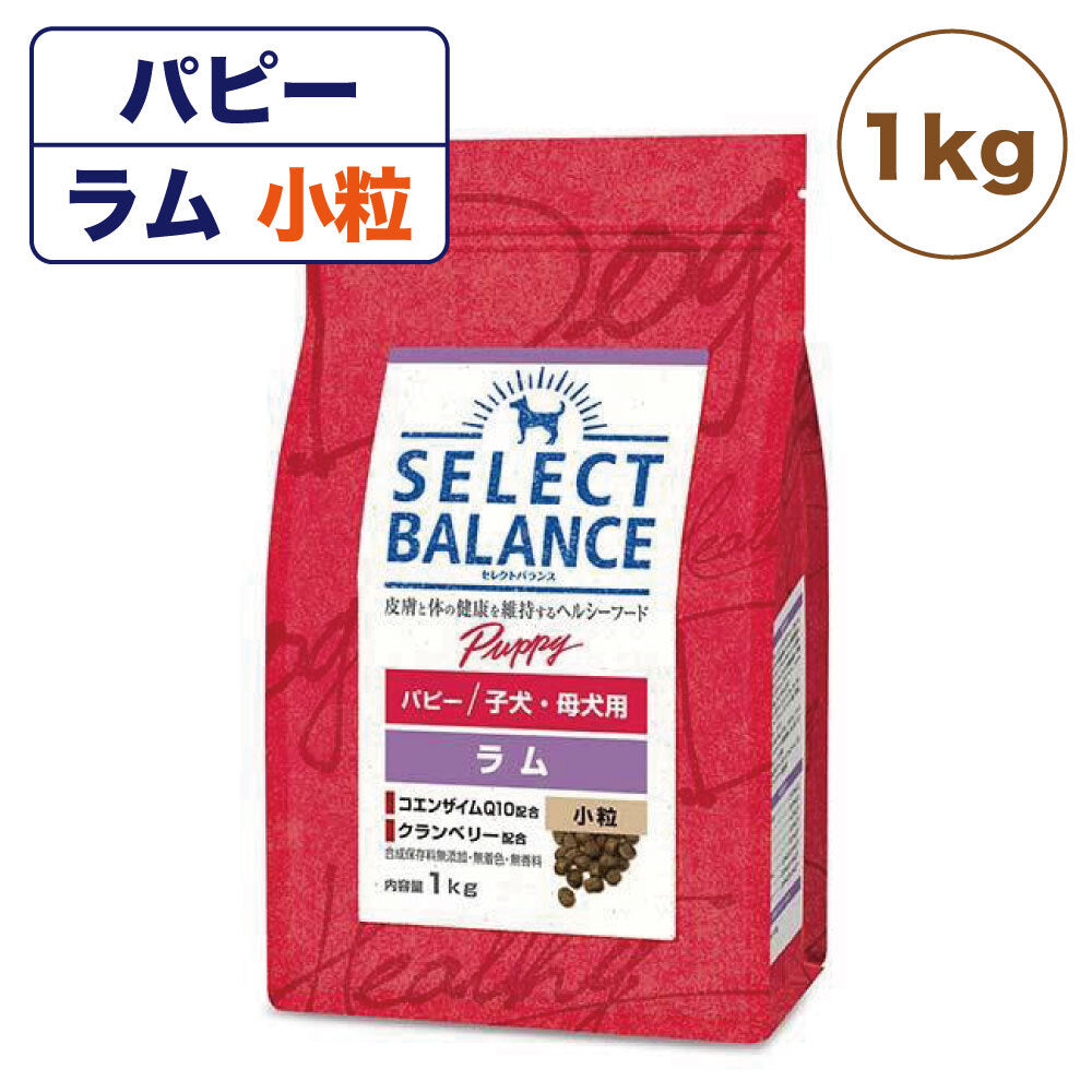 セレクトバランス パピー 子犬・母犬用 ラム 小粒 1kg 犬 ドッグフード 犬用 フード ドライ 子犬用 妊娠 授乳 ミルクプロテイン 発育サポート アレルギー