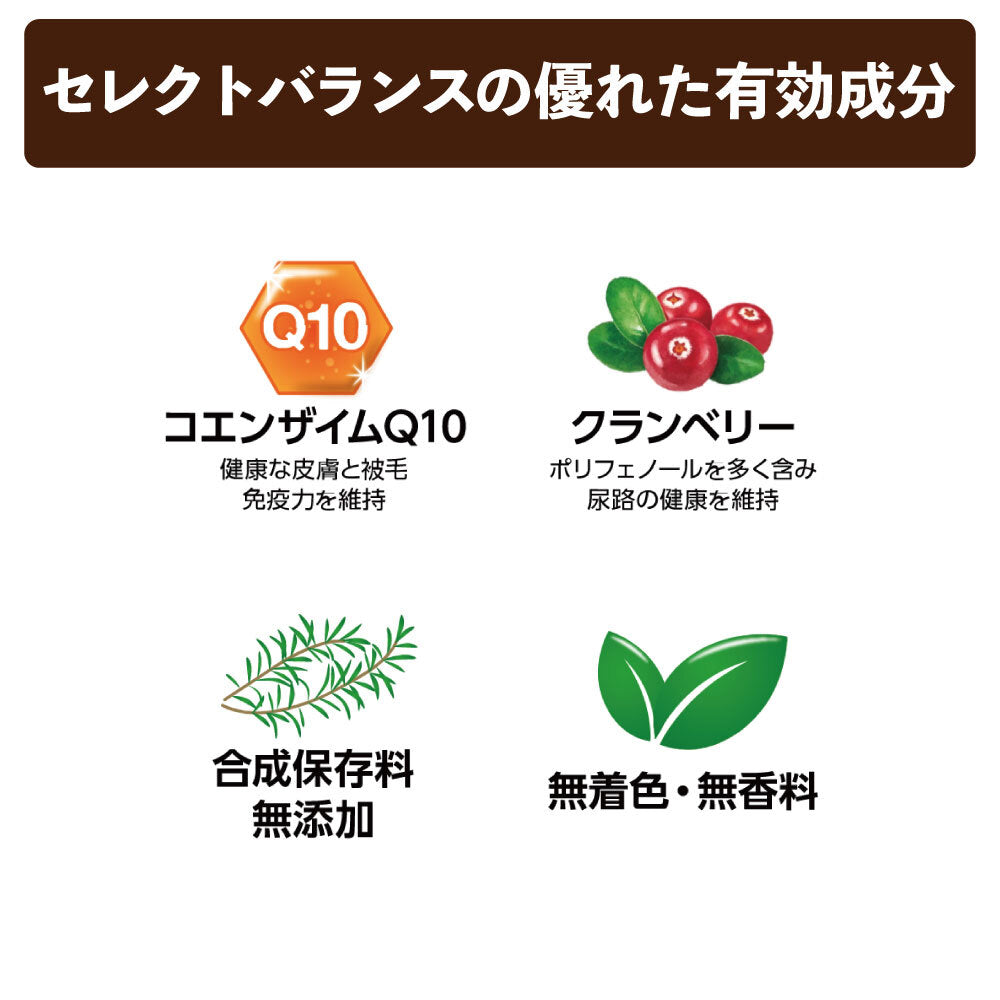 セレクトバランス グレインフリー アダルト 1才以上の成犬用 サーモン 小粒 800g 犬 ドッグフード 犬用 フード ドライ 成犬用 穀物不使用 たんぱく質豊富