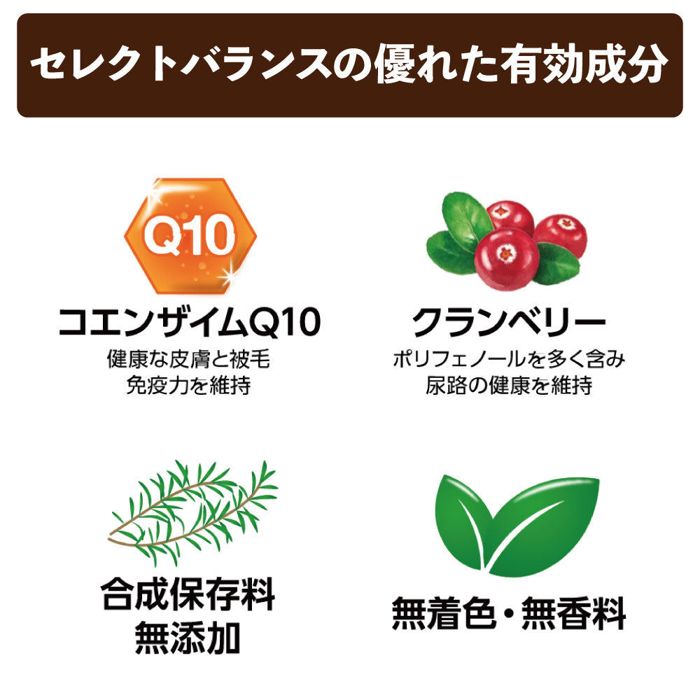 セレクトバランス グレインフリー アダルト 1才以上の成猫用 チキン 1.6kg 猫 キャットフード ドライ 無添加 無着色 猫用 穀物不使用 アレルギー配慮