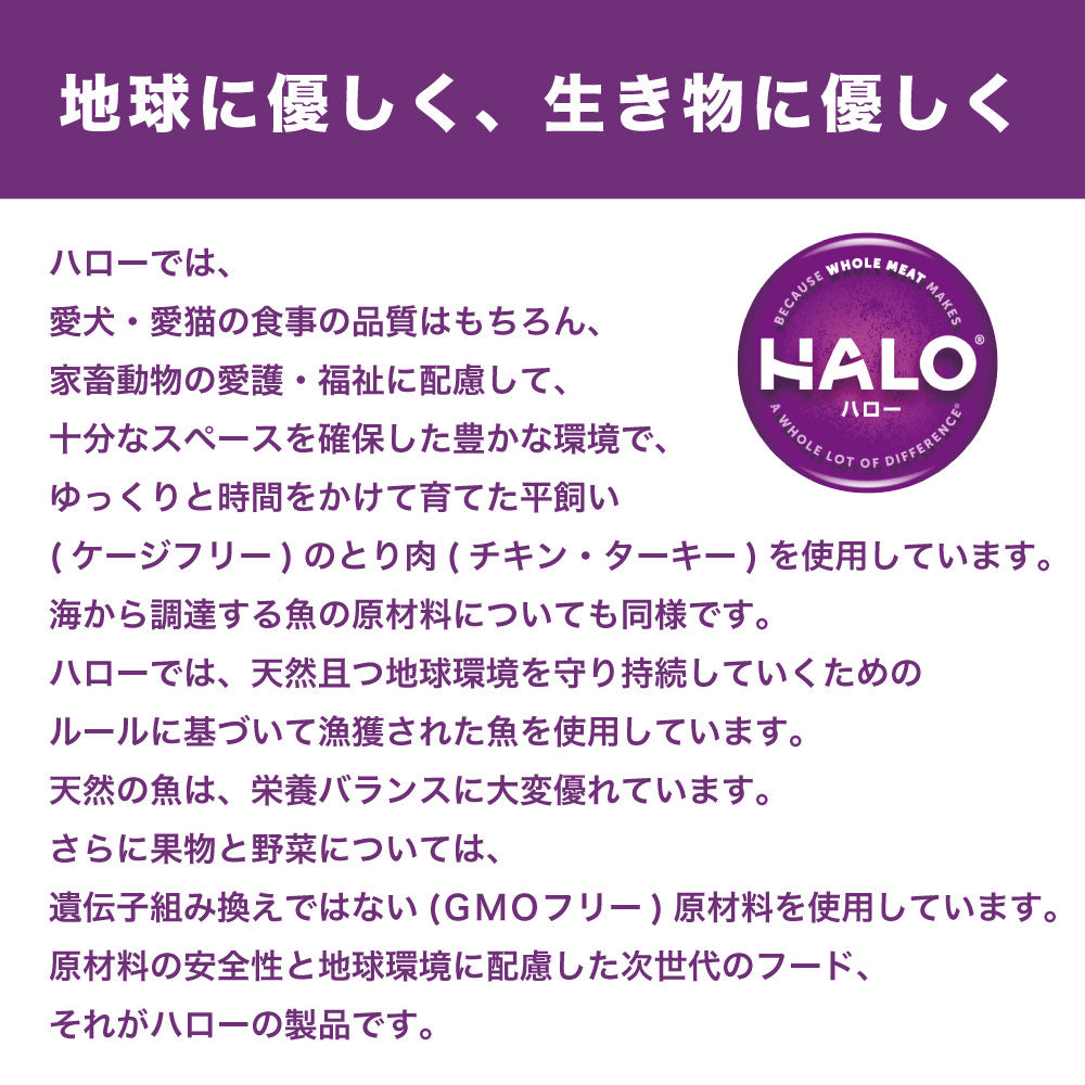 ハロー キトン 子猫・母猫用 天然サーモン 400g 猫 キャットフード 猫用 フード 子ねこ ドライ グレインフリー アレルギー 穀物不使用