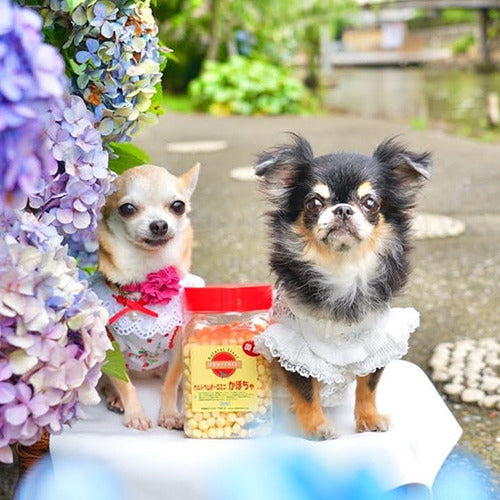 ドッグツリー カルシウムボーロ ミニ かぼちゃ 角ボトル 220g 犬 おやつ 小粒 カボチャ 犬用 ご褒美 おいしい 健康 しつけ トレーニング 北海道 国産