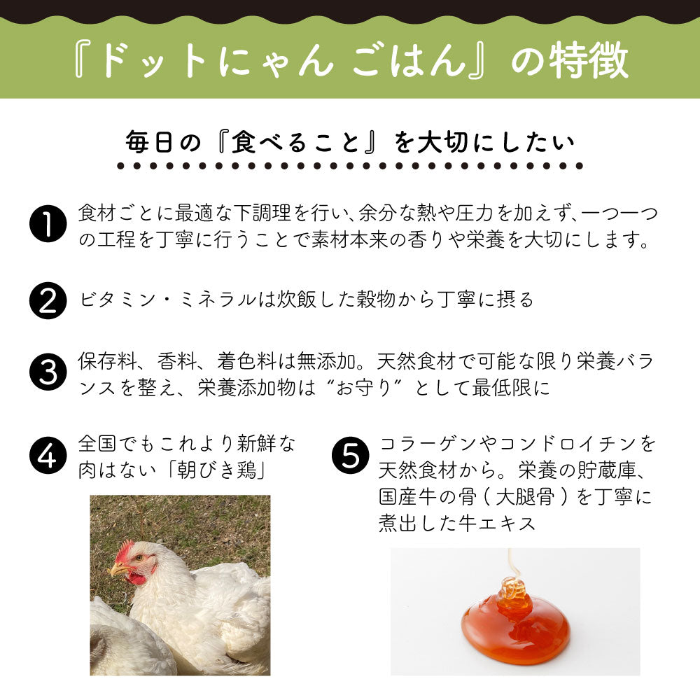 ドットにゃんごはん 500g 猫 キャットフード 猫用フード ドライ カリカリ 国産 無添加 無着色 厳選素材 全年齢用 総合栄養食