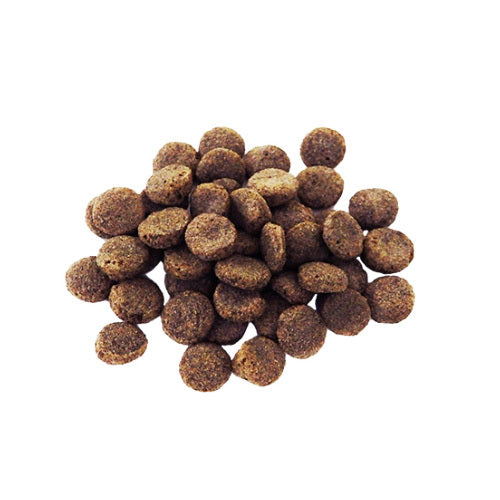 プロデン デンタルバイツ お試しサイズ 猫用 10g 猫 おやつ 猫用おやつ デンタルケア 歯磨き 歯垢 歯石 オーラルケア お口の臭い 無添加 無着色