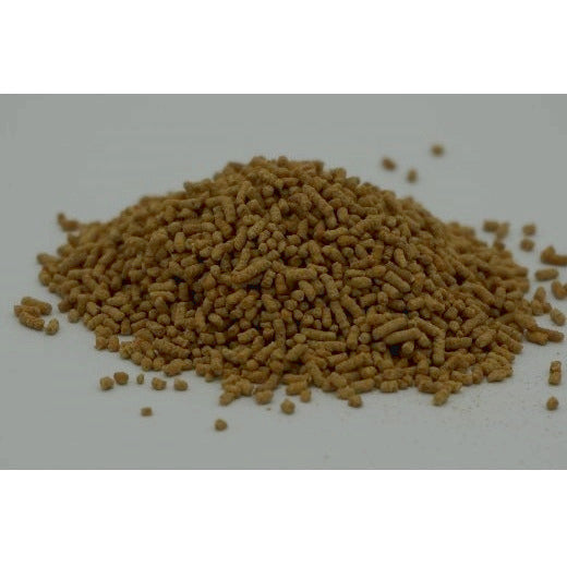 ジービッツ グルコサミン 顆粒タイプ 犬用 80g 犬 顆粒 サプリメント ふりかけ 健康食品 サプリ 関節ケア カルシウム サンユー G-BITS 国産