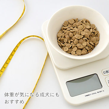 ヤムヤムヤム シニア&ライト チキン ドライタイプ 2kg 国産 小粒 フード 高齢犬 体重管理 無添加 無着色 獣医師監修 ウィズ・グリーンドッグ Yum Yum Yum!