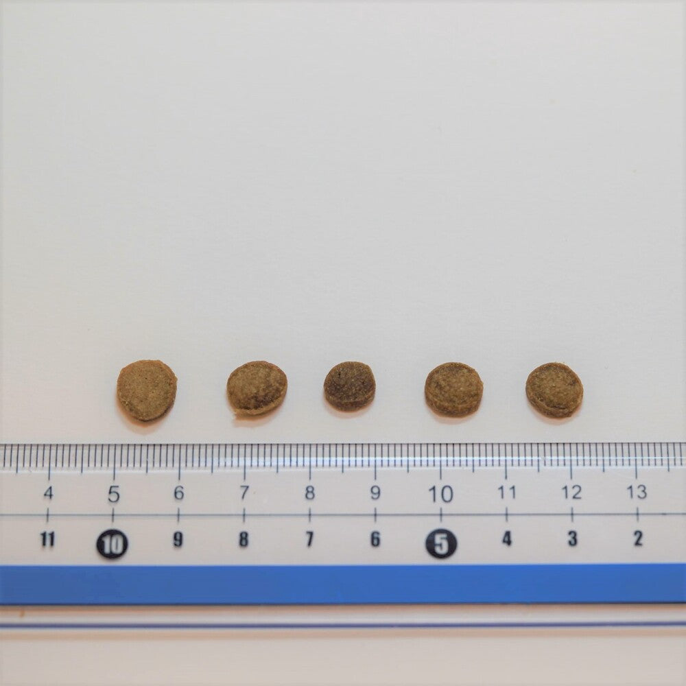 ヤムヤムヤム シニア&ライト 馬肉 ドライタイプ 2kg 国産 小粒 フード 高齢犬 体重管理 無添加 無着色 獣医師監修 ウィズ・グリーンドッグ Yum Yum Yum!