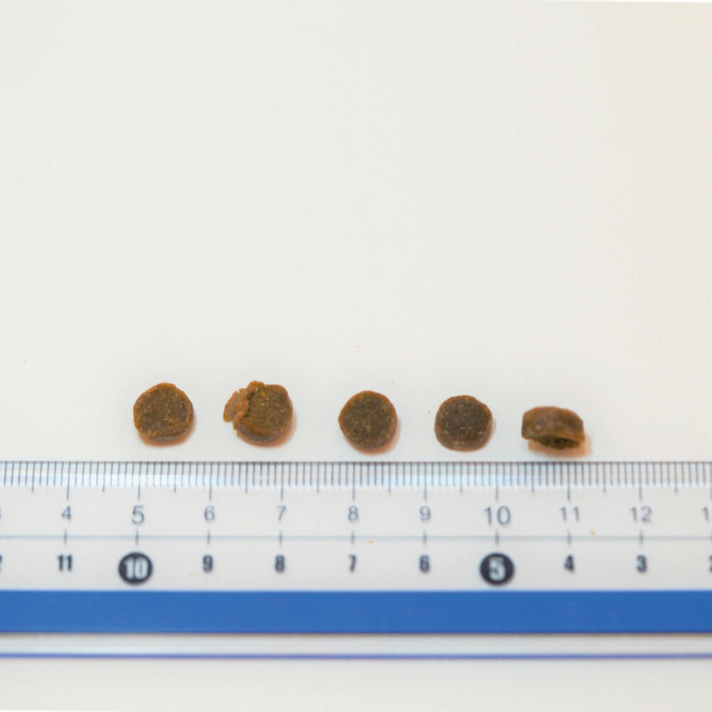 ヤムヤムヤム シニア&ライト 馬肉 やわらかドライタイプ 800g 国産 小粒 高齢犬 体重管理 無添加 無着色 獣医師監修 ウィズ・グリーンドッグ Yum Yum Yum!